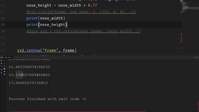 Pig's nose (Face instagram filters) - Opencv with Python
