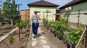 ЛУЧШЕЕ СРЕДСТВО ОТ СОРНЯКОВ. Как удалить сорняки с огорода без химии