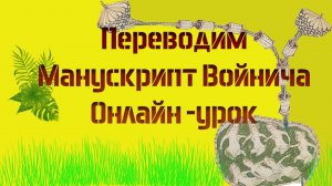 Урок по чтению манускрипта Войнича. Советы царя по управлению рабами и застолью .