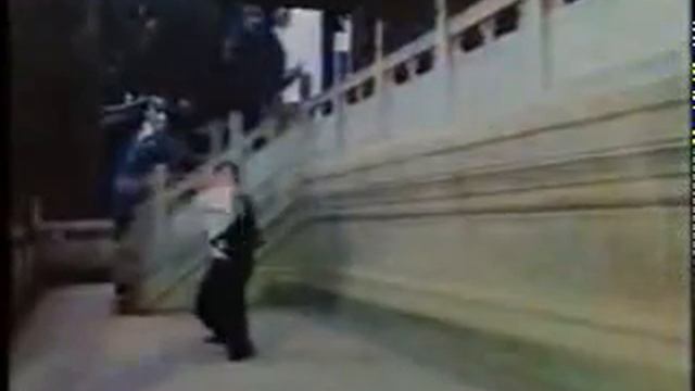 cheng ba gua zhang Ge Chun Yan смотреть онлайн