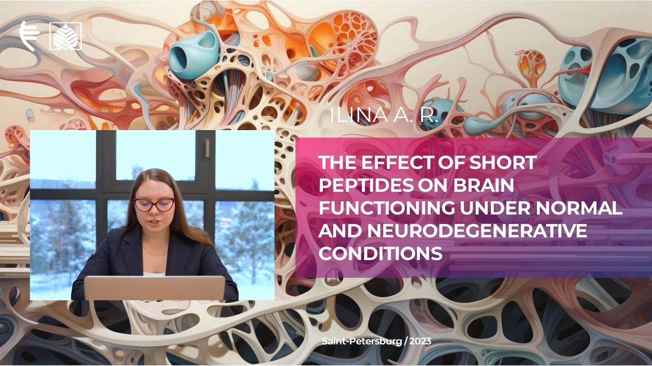The effect of short peptides on brain functioning under normal and neurodegenerative conditions