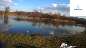 Рыбалка в Польше# на карпа#, карпы  гнут удилище, за 30 минут 2 сазана# и 3 карпа# Ловим в #Польше