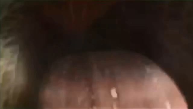 СБОРНИК ФАНТАСТИЧЕСКИХ ФУТАЖЕЙ НА ЗЕЛЕНОМ ФОНЕ | GREEN SCREEN, sony vegas, футажи смотреть онлайн