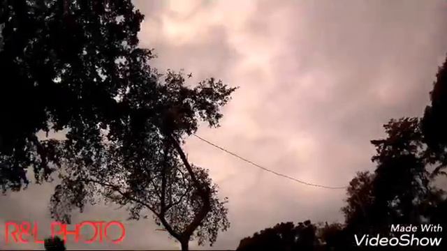 Drone Syma X8HG CRASH INTO A TREE смотреть онлайн