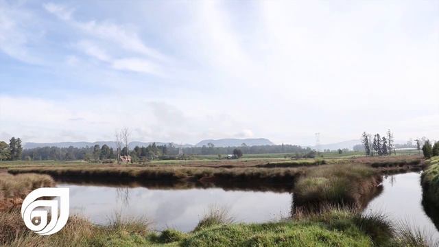 ANTOJATE DE MADRID смотреть онлайн