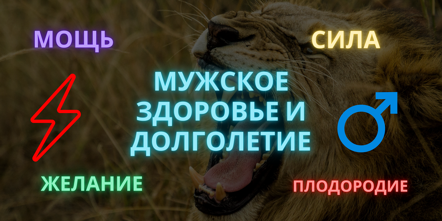 МУЖСКОЕ ЗДОРОВЬЕ И ДОЛГОЛЕТИЕ