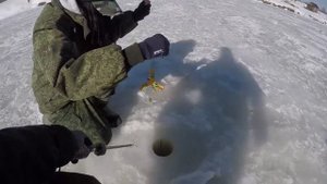 Лучшая рыбалка в Калужской области