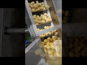 Линия очистки корнеплодов