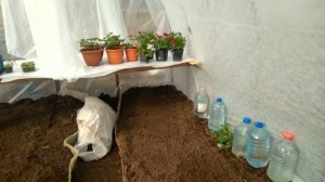 Простой. Экономный. Очень эффективный способ утепления теплицы!!!