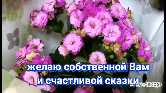 Уютный подоконник?Комнатные цветы ?