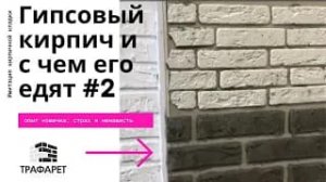 Итоги экспериментa  Опыт новичка.mp4