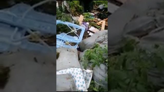 Свалка в селе Чехов