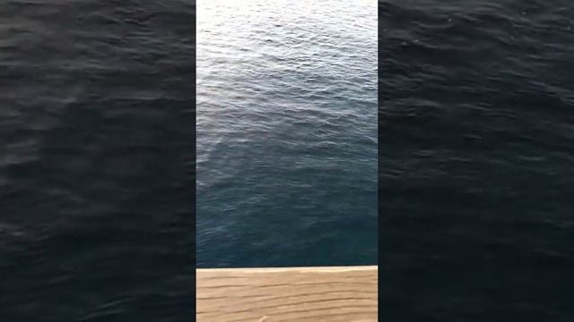 Паром на Ялову. Стамбульские каникулы и карантин. смотреть онлайн