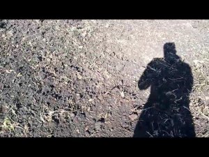 Агрегат дисковый АДС 5D