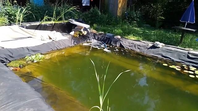 Пруд с биоплато в Сибири . Часть 3