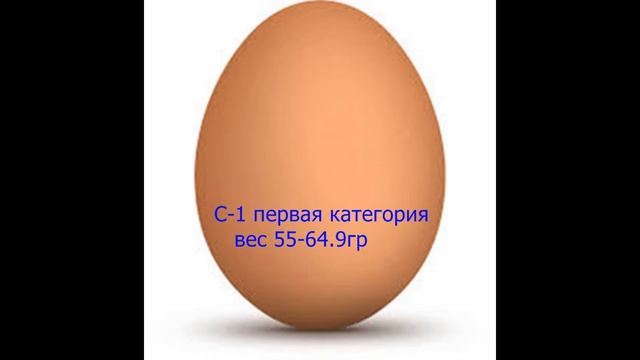 Вес куриного яйца смотреть онлайн