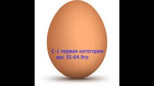Вес куриного яйца