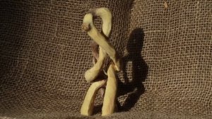 Безумная карагана (часть третья) слайдшоу