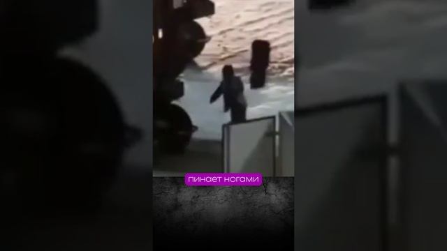 Озвучиваю приветствие пассажиров в самолете