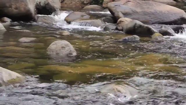 Прости меня, Боже... смотреть онлайн