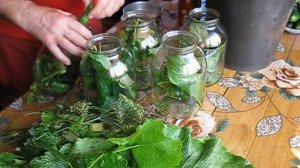 Самые вкусные соленые огурцы под капроновой крышкой.