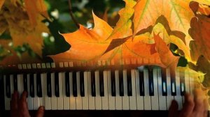 Кленовый лист _  Н. Караченцов Cover