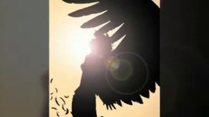 Клип а мы не ангелы - парень