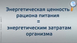 Физическая культура 9 класс (Урок№1 - Знания о физической культуре.)