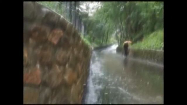 Дождливая песенка