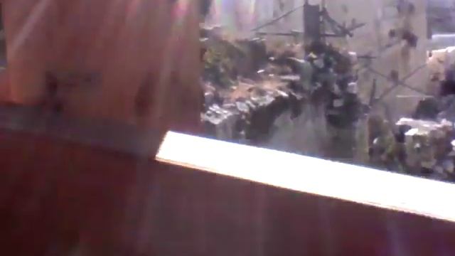 Восхождение на храмовую гору со стороны западной стены. Конец января 2019 года