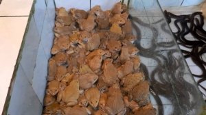 Местный рыночек ч.1