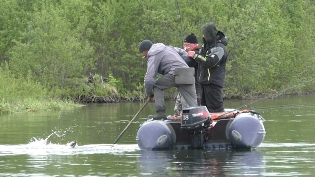 Рыбалка на спининг, ловля лосося (чавычи), часть-1. смотреть онлайн