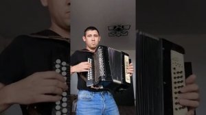 Гармонь федерико феллини (кавер)