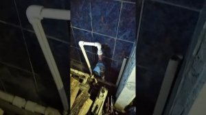 зота мастер икс месяц использования . 24/7