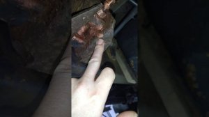 Замена задней подушки на iveco daily 35С15. 2008г.3.0д.(с отдельной кабиной) мебельный фургон!