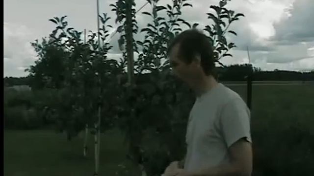 Прививка плодовых деревьев: окулировка.flv