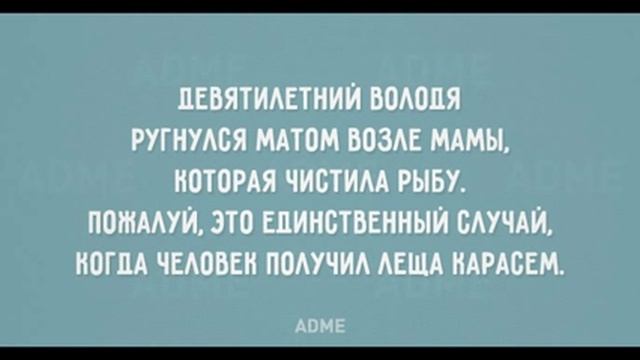 Семейный юмор. Приколы и анекдоты. ч.2