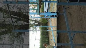 Как я живу в детском доме. Часть первая