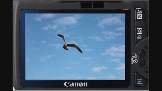 getitdigital Canon T2i 550D Exclusive preview review NEW! смотреть онлайн