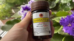 Входящая и профилактическая обработка. Препараты. ФИАЛКИ.