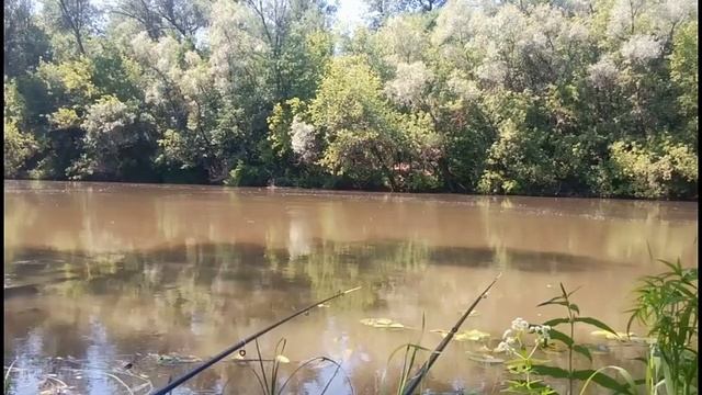 Ловля со дна на реке смотреть онлайн