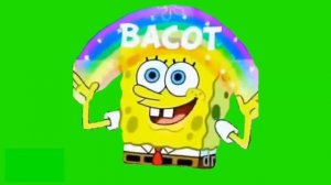 Новые футажи для монтажа. Хромакей видео. Футаж для видеомонтажа