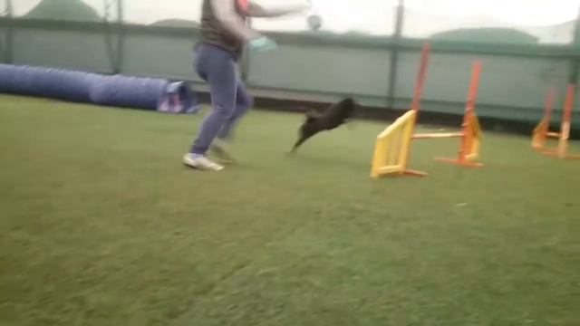 05.01.17 Рождественские семинар (2) смотреть онлайн