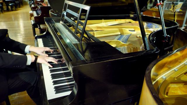 Blüthner Grand Piano | Serial No. 55773 at Sherwood Phoenix смотреть онлайн