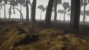 Биография Земли