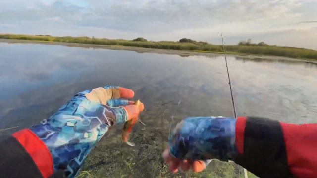 Раздача щуки смотреть онлайн