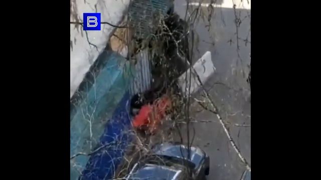 Песенка о хорошем настроении смотреть онлайн