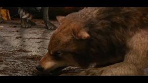 Джейкоб поступил правильно, не то что Сэм✊?