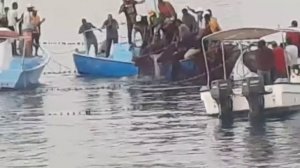 Поймали акулу-людоеда в Хургаде?caught a shark in Hurghada?russian man was eating by tiger shark