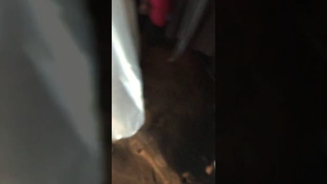 Гироскутер сгорел. Последствия смотреть онлайн